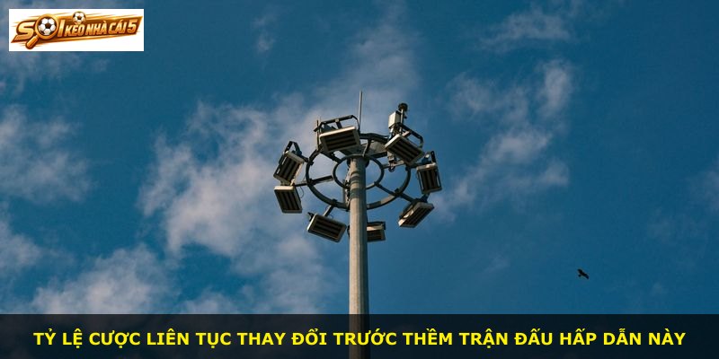 Tỷ lệ cược liên tục thay đổi trước thềm trận đấu hấp dẫn này