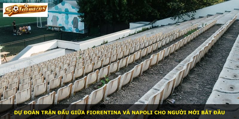 Dự đoán trận đấu giữa Fiorentina và Napoli cho người mới bắt đầu