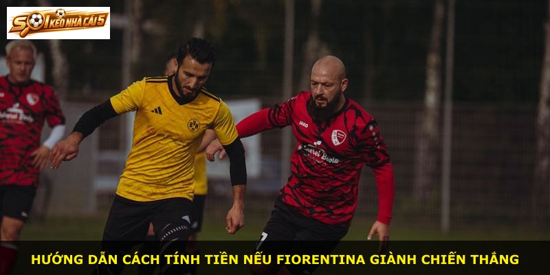 Hướng dẫn cách tính tiền nếu Fiorentina giành chiến thắng