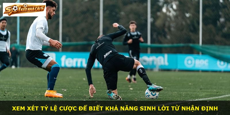 Xem xét tỷ lệ cược để biết khả năng sinh lời từ nhận định