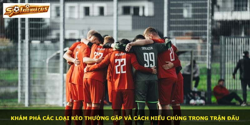 Khám phá các loại kèo thường gặp và cách hiểu chúng trong trận đấu