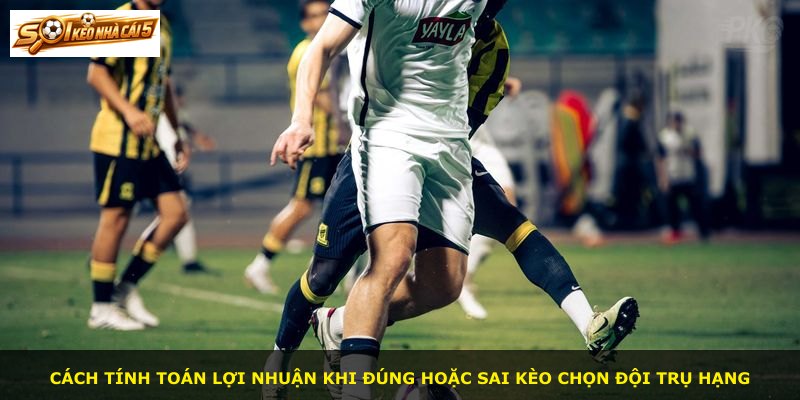 Cách tính toán lợi nhuận khi đúng hoặc sai kèo chọn đội trụ hạng