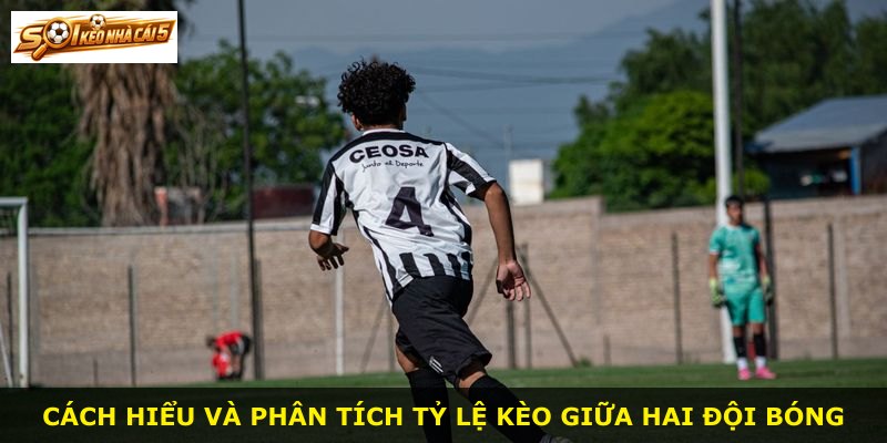 Cách hiểu và phân tích tỷ lệ kèo giữa hai đội bóng