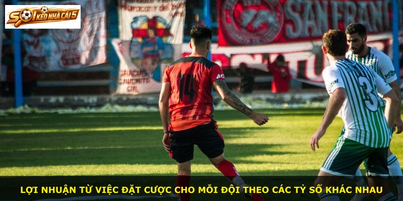 Lợi nhuận từ việc đặt cược cho mỗi đội theo các tỷ số khác nhau